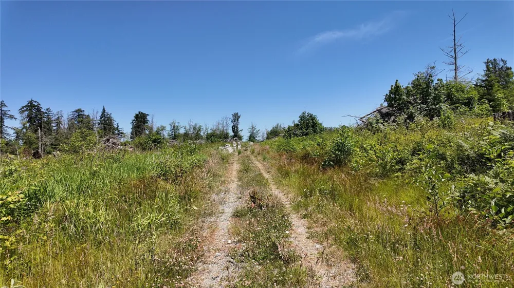 1 Seaview Lane Mount Vernon, WA 98273