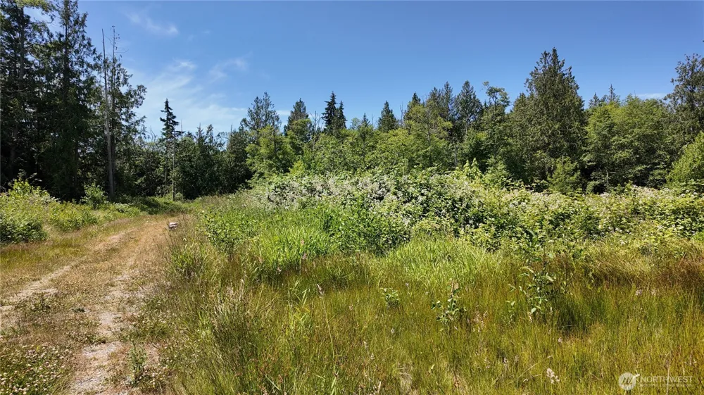 1 Seaview Lane Mount Vernon, WA 98273
