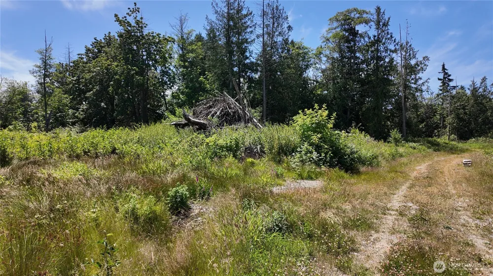 1 Seaview Lane Mount Vernon, WA 98273
