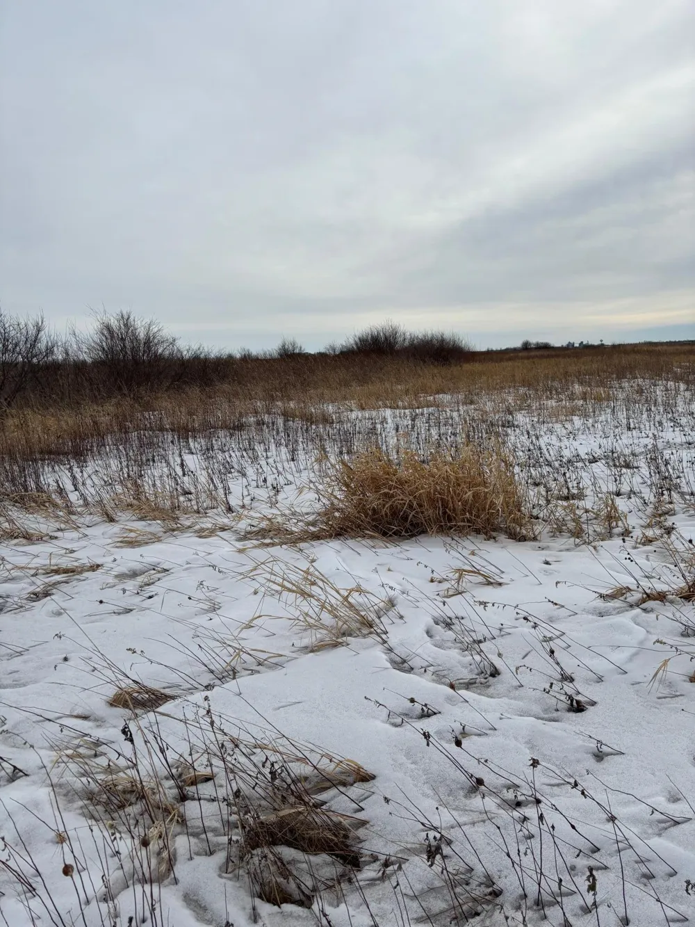 TBD Hwy 59 Mahnomen, MN 56557