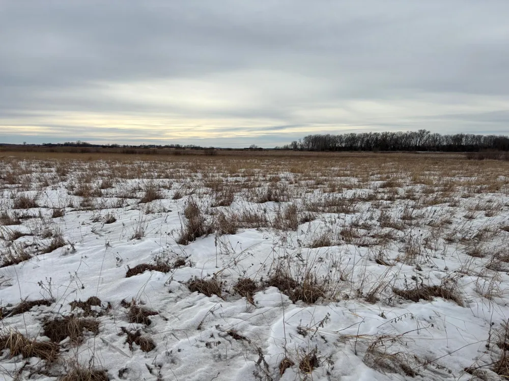 TBD Hwy 59 Mahnomen, MN 56557