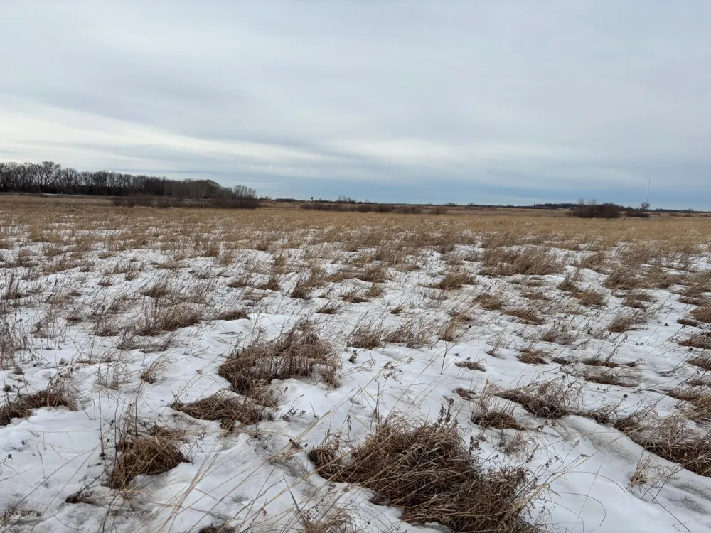 TBD Hwy 59 Mahnomen, MN 56557