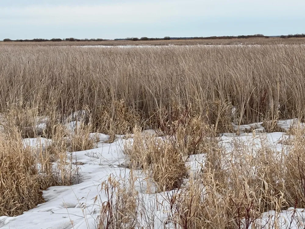 TBD Hwy 59 Mahnomen, MN 56557