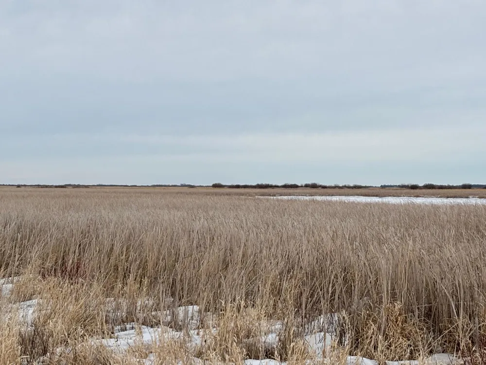 TBD Hwy 59 Mahnomen, MN 56557