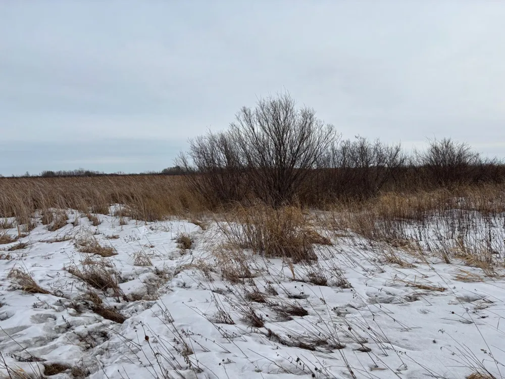 TBD Hwy 59 Mahnomen, MN 56557