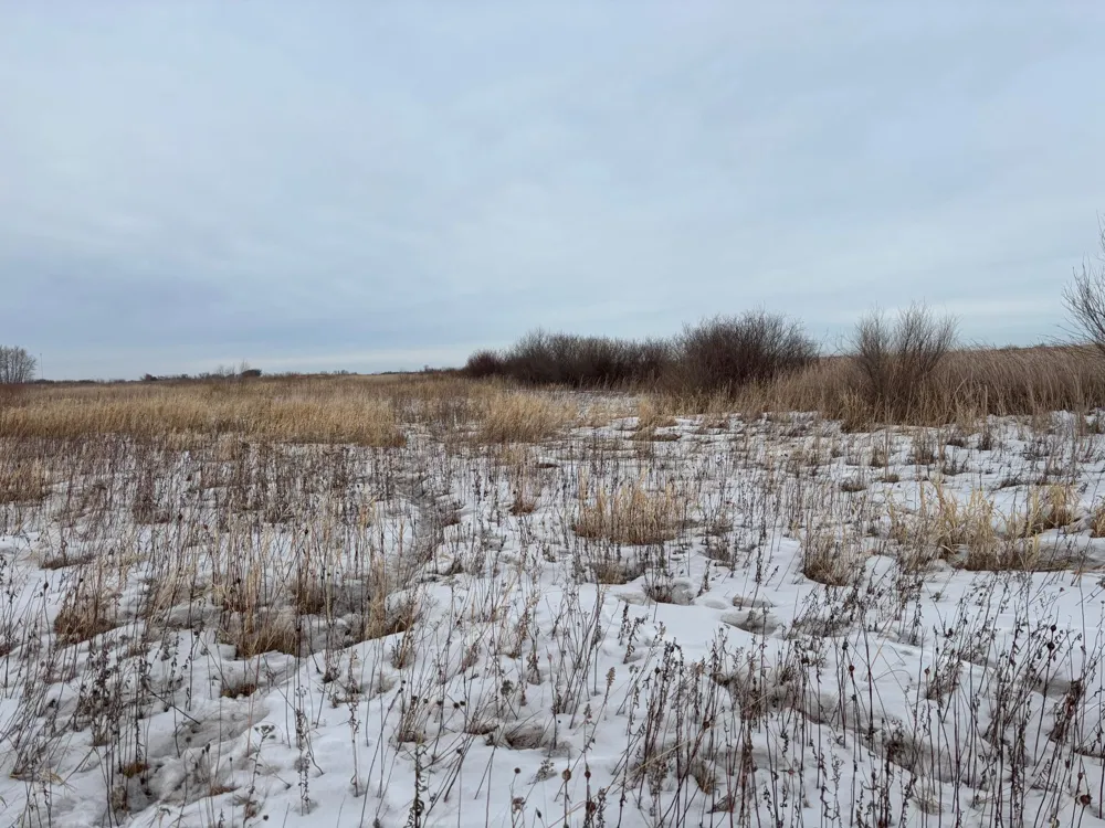 TBD Hwy 59 Mahnomen, MN 56557