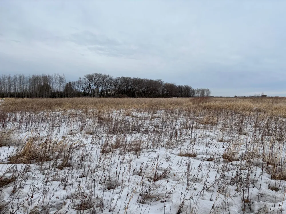 TBD Hwy 59 Mahnomen, MN 56557