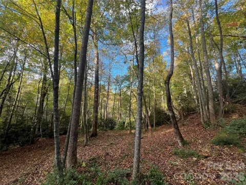 6 Dividing Ridge Trail #01