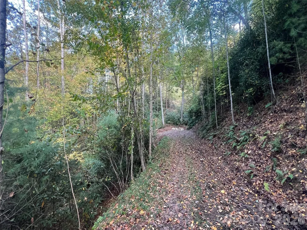 6 Dividing Ridge Trail #01 Arden, NC 28704