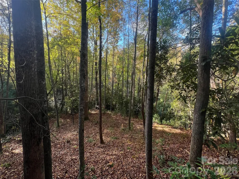 6 Dividing Ridge Trail #01 Arden, NC 28704