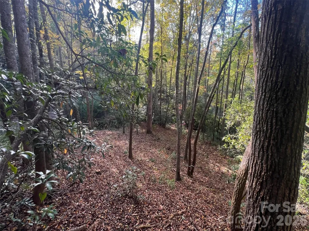 6 Dividing Ridge Trail #01 Arden, NC 28704