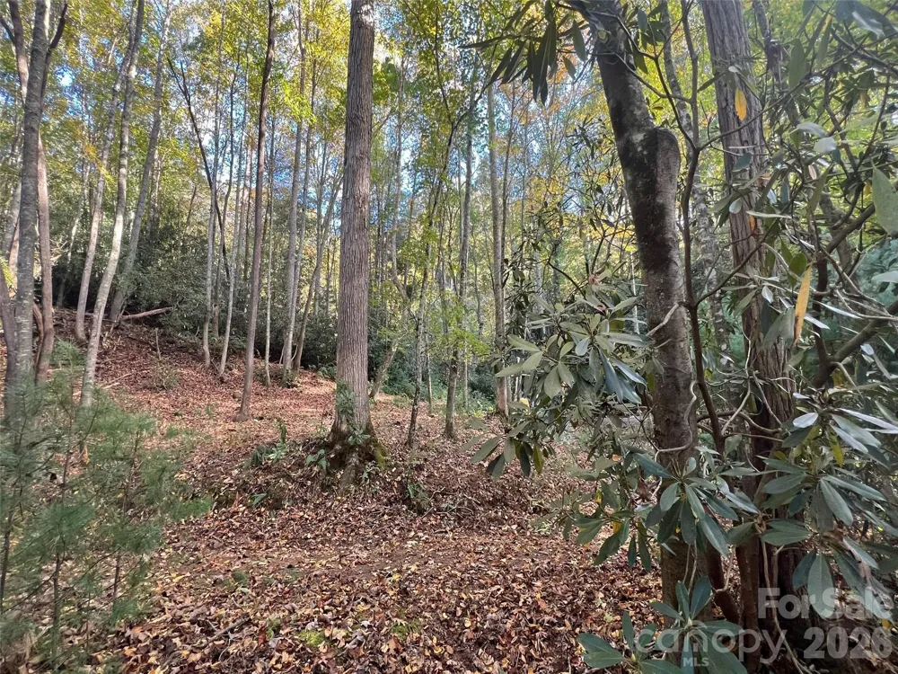 6 Dividing Ridge Trail #01 Arden, NC 28704