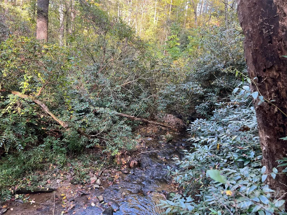 6 Dividing Ridge Trail #01 Arden, NC 28704