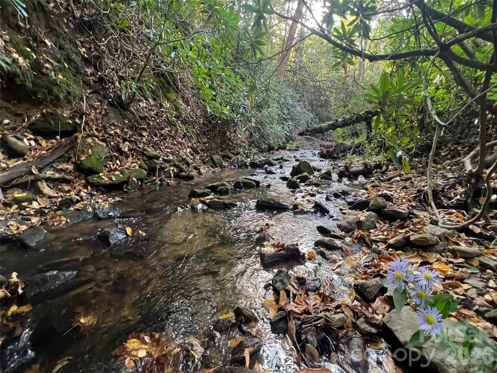 6 Dividing Ridge Trail #01 Arden, NC 28704