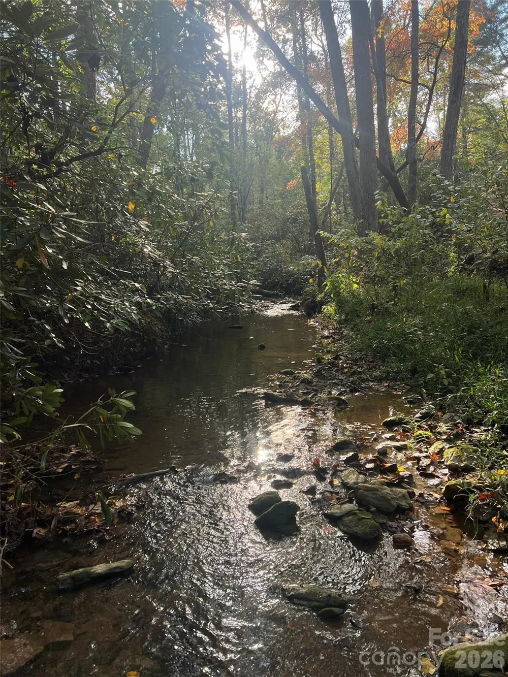 6 Dividing Ridge Trail #01 Arden, NC 28704