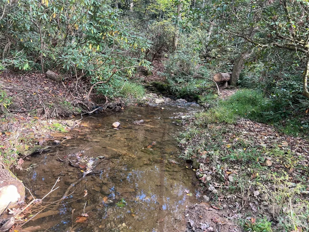 6 Dividing Ridge Trail #01 Arden, NC 28704