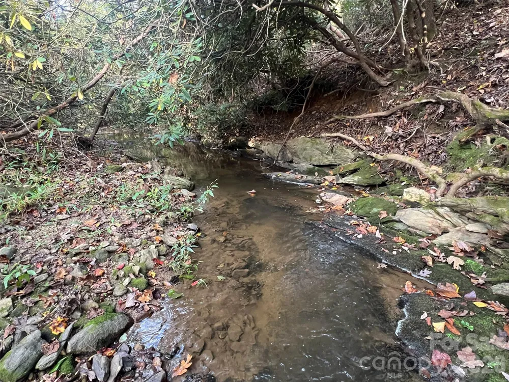 6 Dividing Ridge Trail #01 Arden, NC 28704