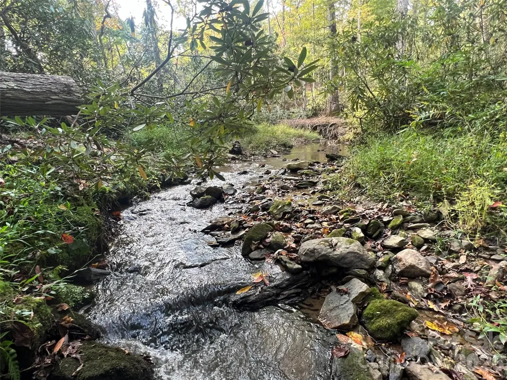6 Dividing Ridge Trail #01 Arden, NC 28704