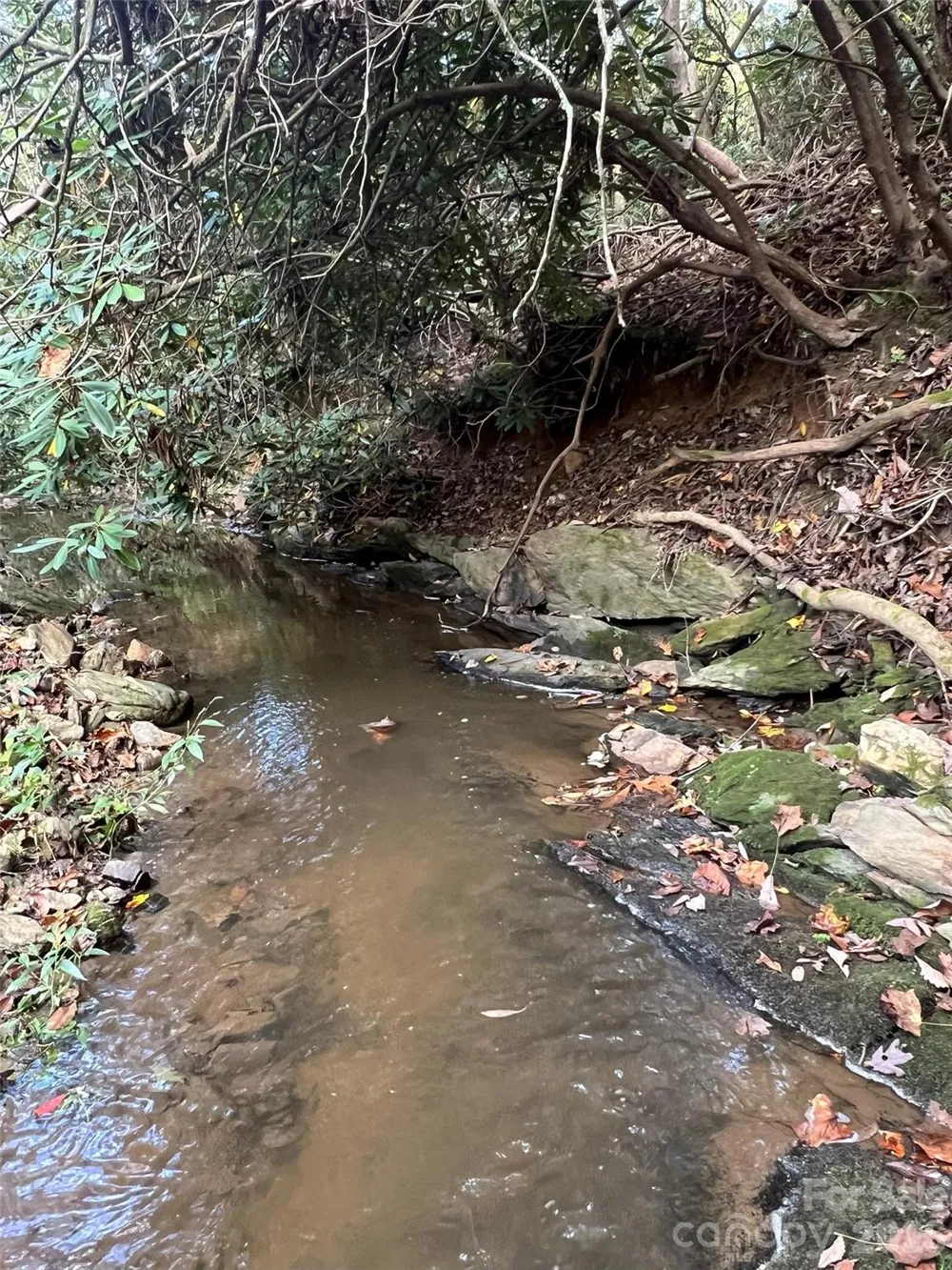 6 Dividing Ridge Trail #01 Arden, NC 28704