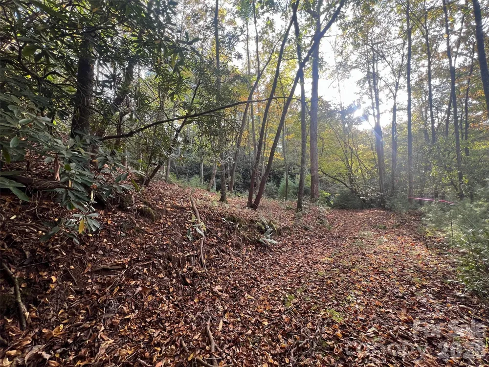 6 Dividing Ridge Trail #01 Arden, NC 28704