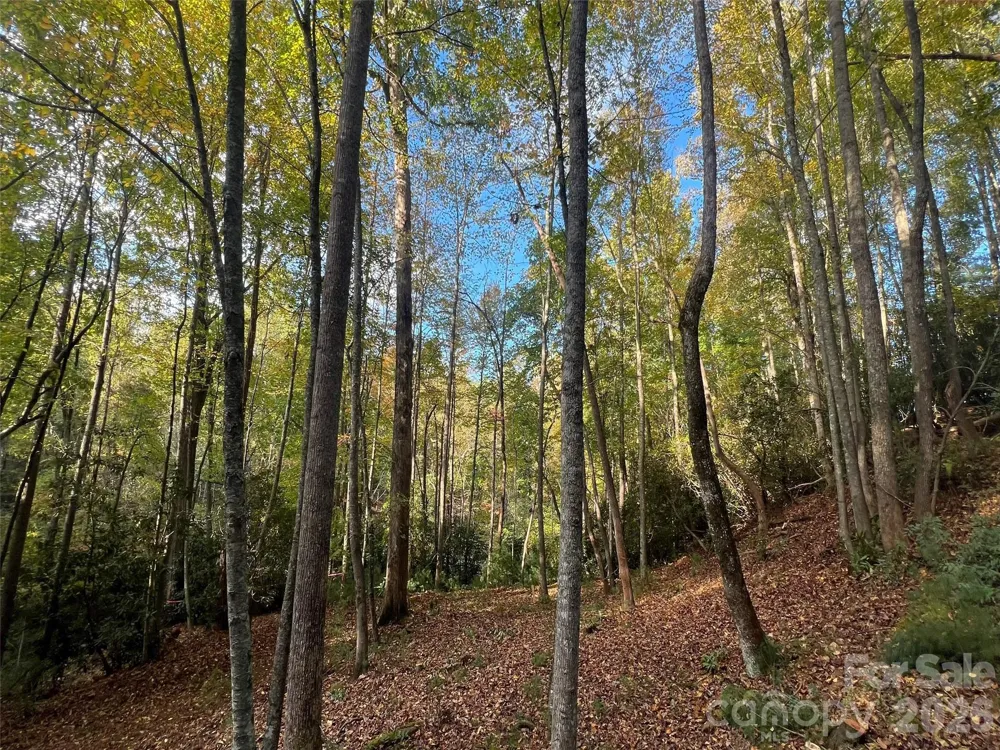 6 Dividing Ridge Trail #01 Arden, NC 28704
