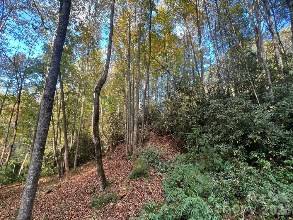 6 Dividing Ridge Trail #01 Arden, NC 28704