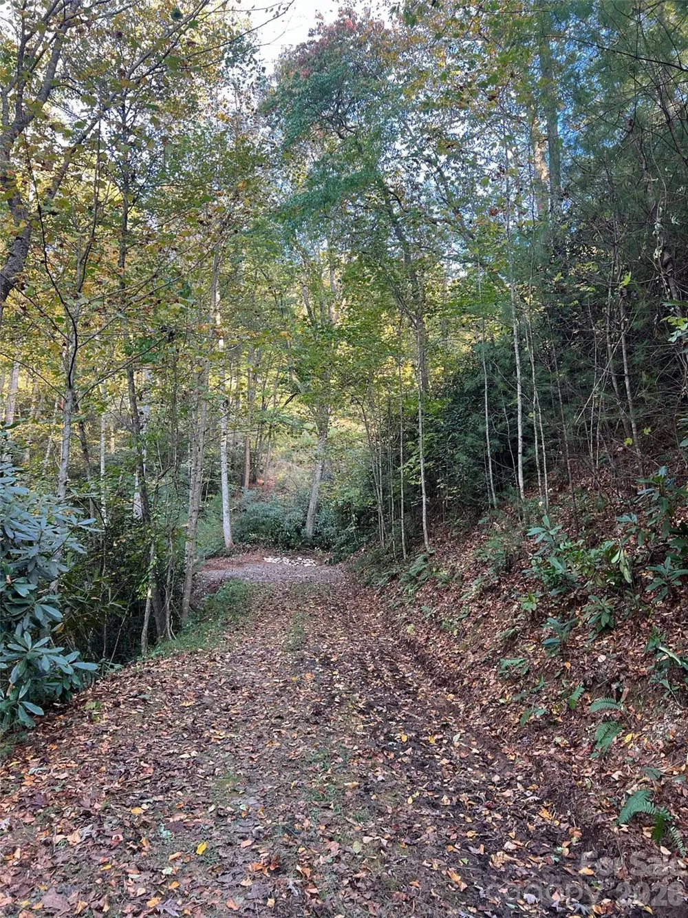 6 Dividing Ridge Trail #01 Arden, NC 28704