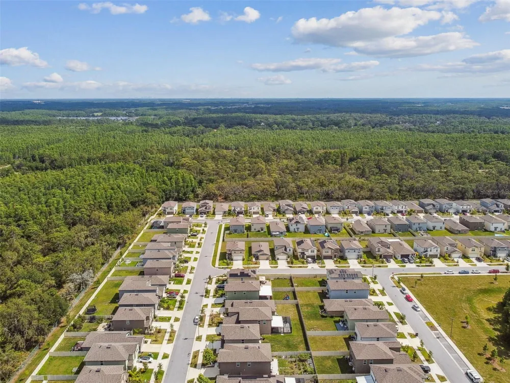 2139 STELLAR BRILLIANCE WAY Lutz, FL 33558