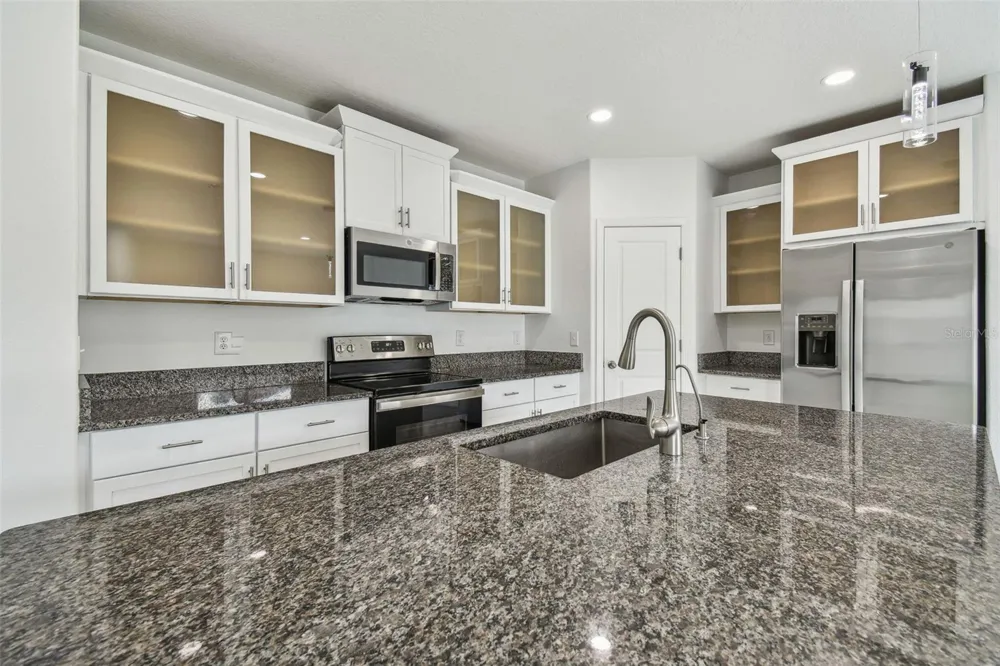 2139 STELLAR BRILLIANCE WAY Lutz, FL 33558