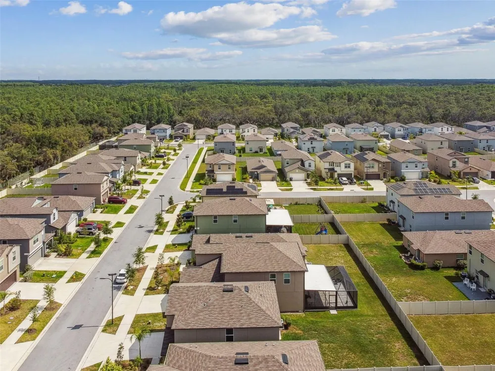 2139 STELLAR BRILLIANCE WAY Lutz, FL 33558