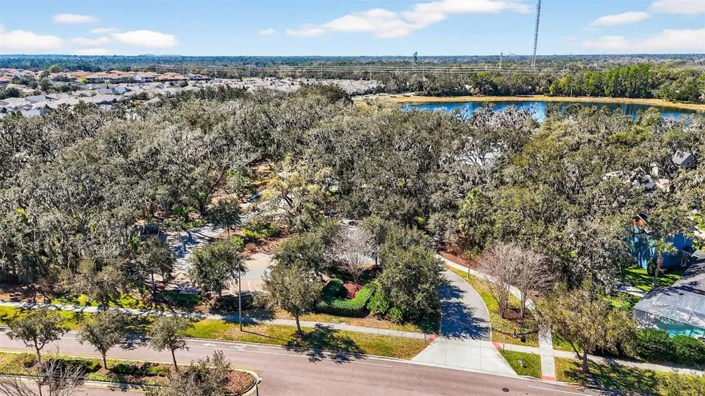 14310 BARRINGTON STOWERS DRIVE Lithia, FL 33547