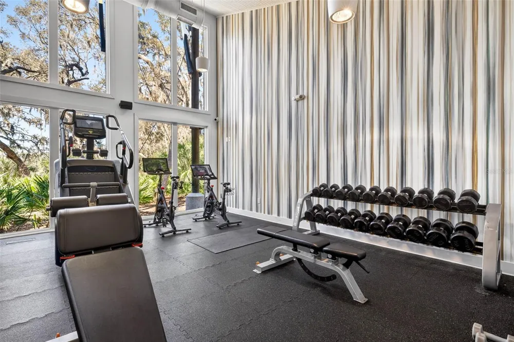 14310 BARRINGTON STOWERS DRIVE Lithia, FL 33547