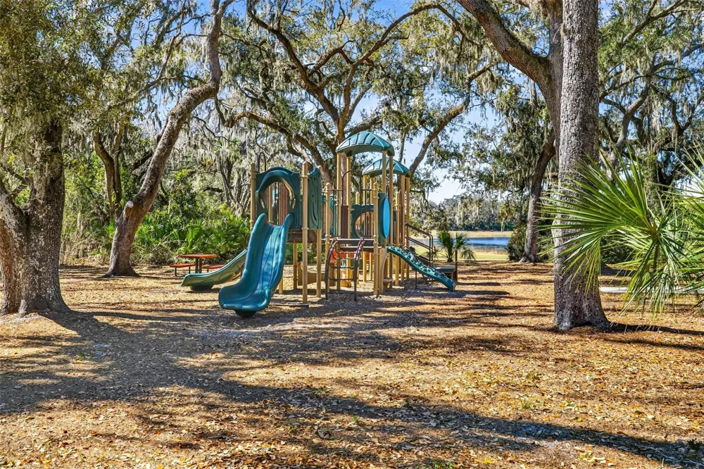 14310 BARRINGTON STOWERS DRIVE Lithia, FL 33547