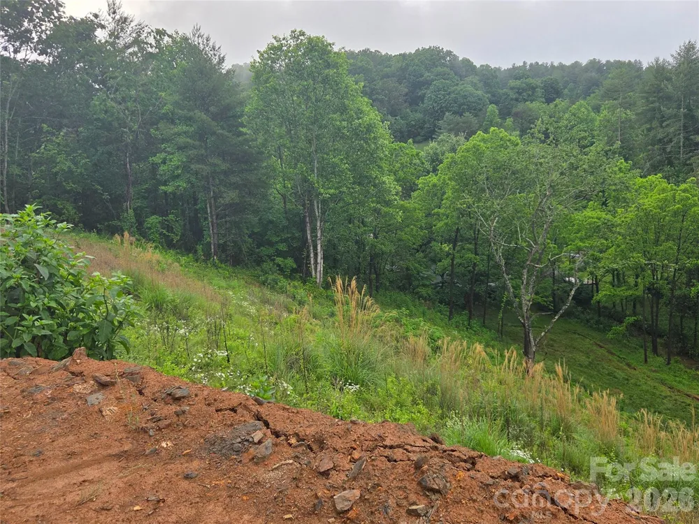 374 Big Branch Drive #Lot 2 D Mars Hill, NC 28754