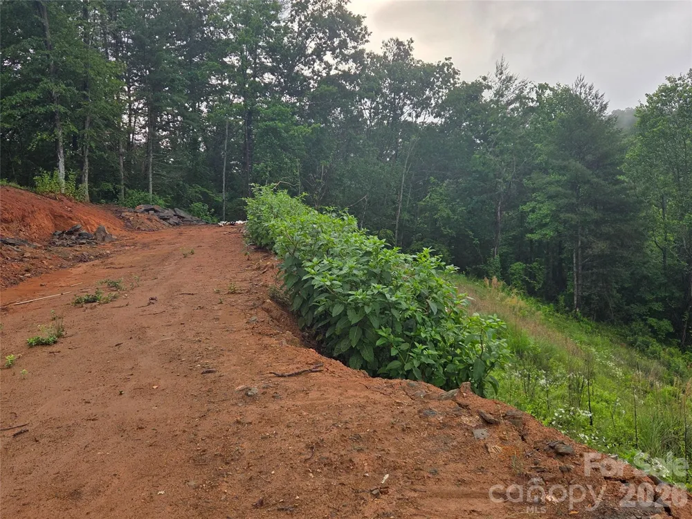 374 Big Branch Drive #Lot 2 D Mars Hill, NC 28754