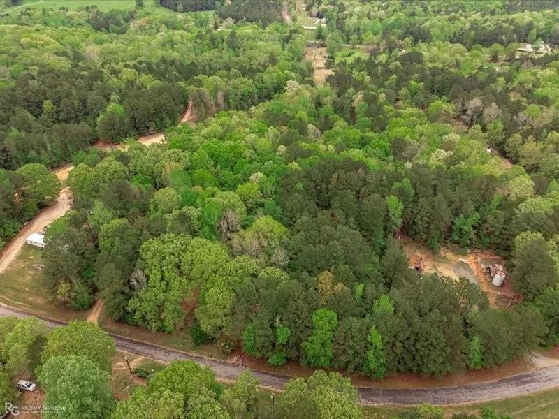 Whispering Pines Trail Minden, LA 71055