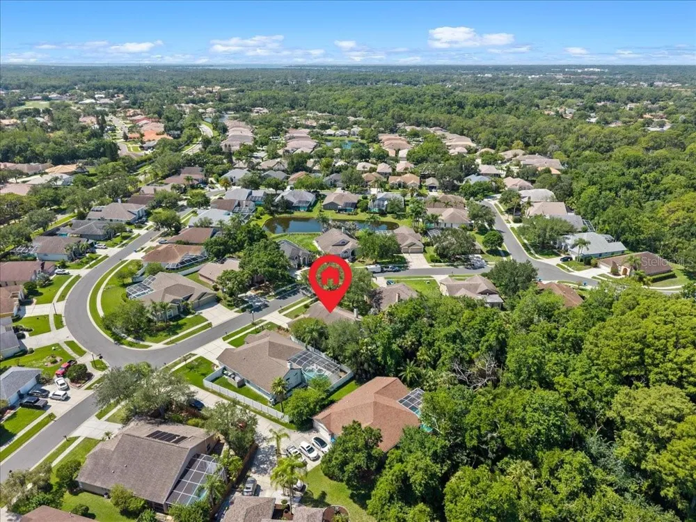 4761 STONEBRIAR DRIVE Oldsmar, FL 34677