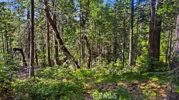 Lilac Dr Arnold, CA 95223