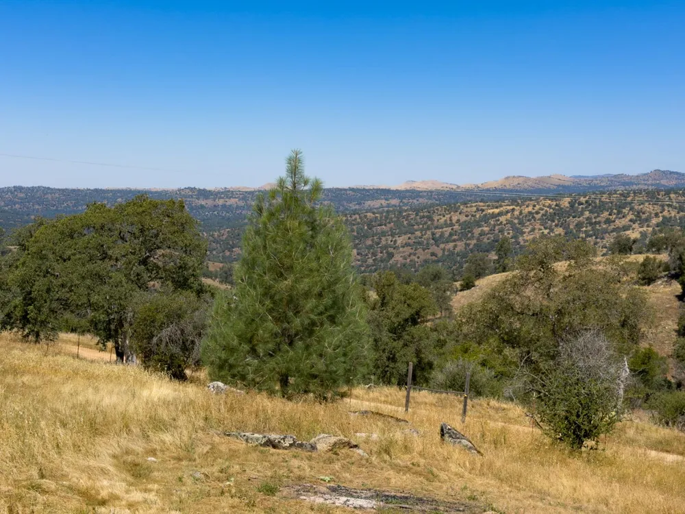 37336 Eagle Drive Raymond, CA 93653