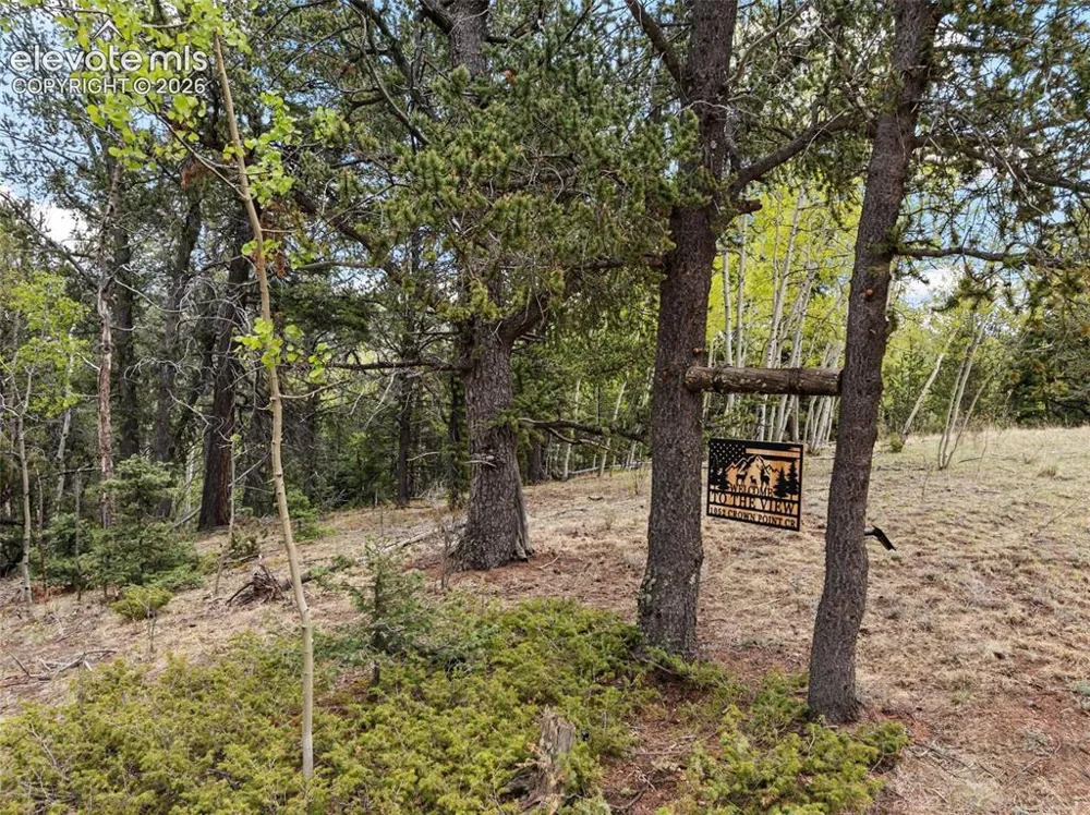 1052 Crown Point Circle Cripple Creek, CO 80813