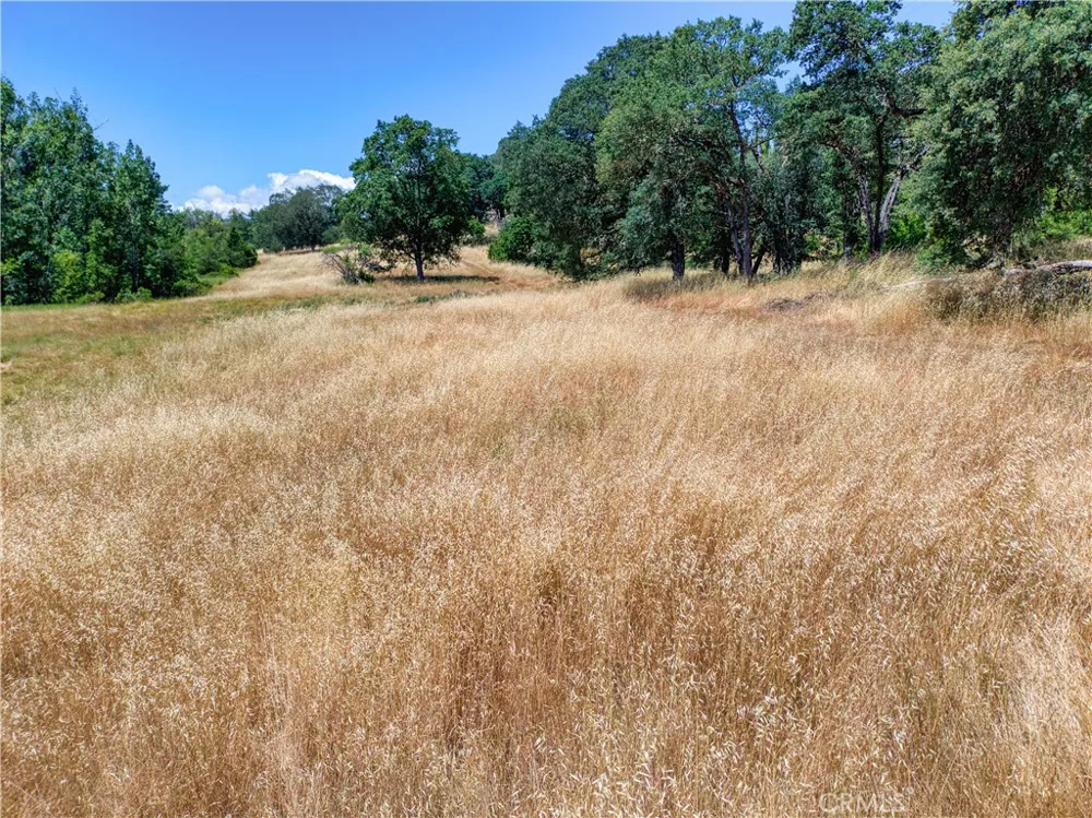 2447 Hartley Street Lakeport, CA 95453