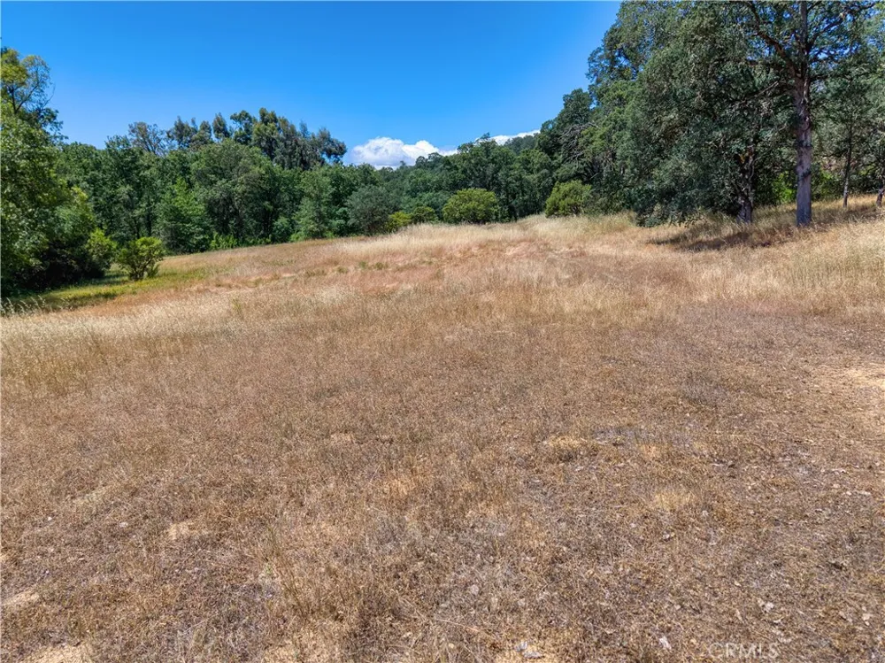 2447 Hartley Street Lakeport, CA 95453