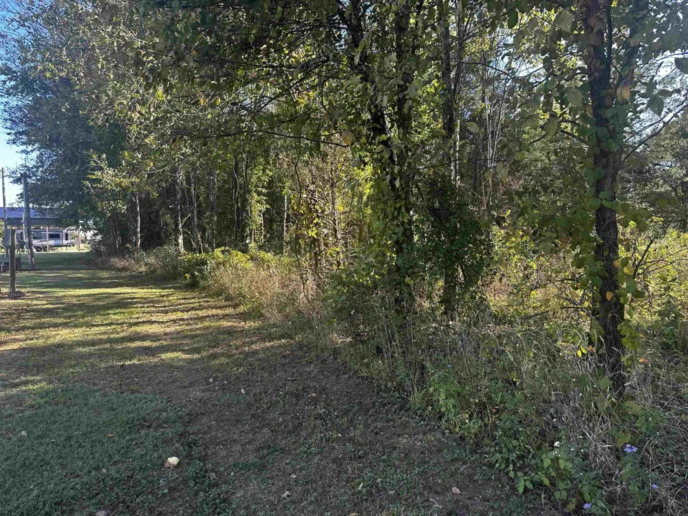 0 CATFISH LN LN Crump, TN 38327