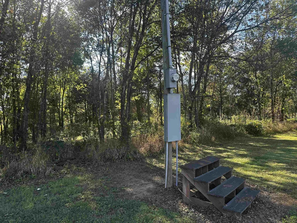0 CATFISH LN LN Crump, TN 38327