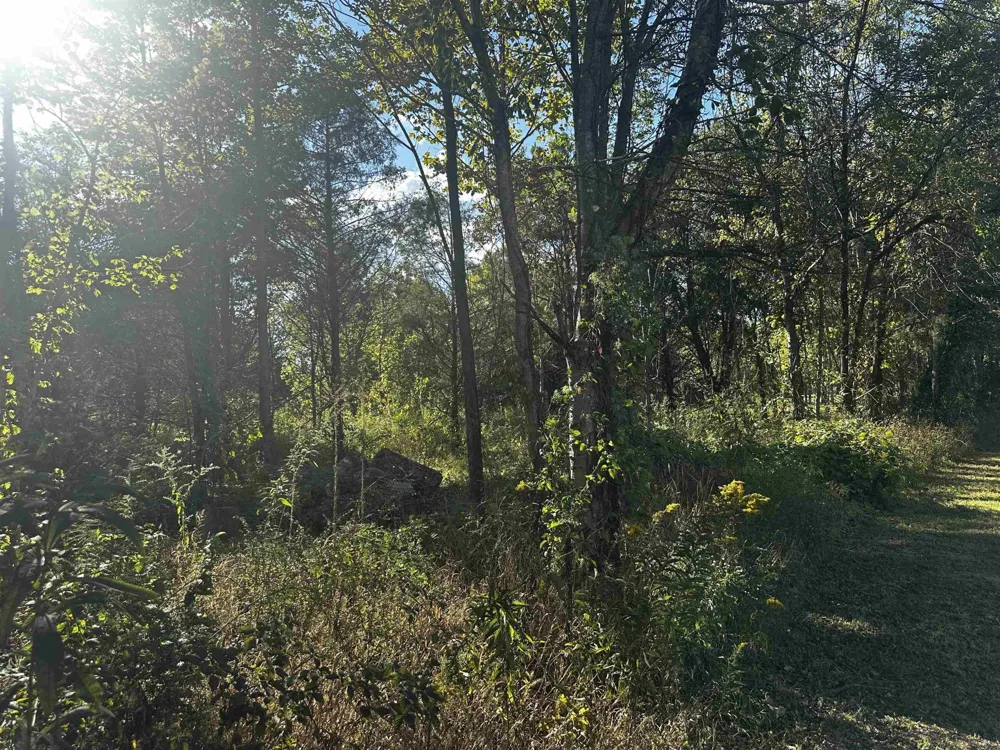 0 CATFISH LN LN Crump, TN 38327