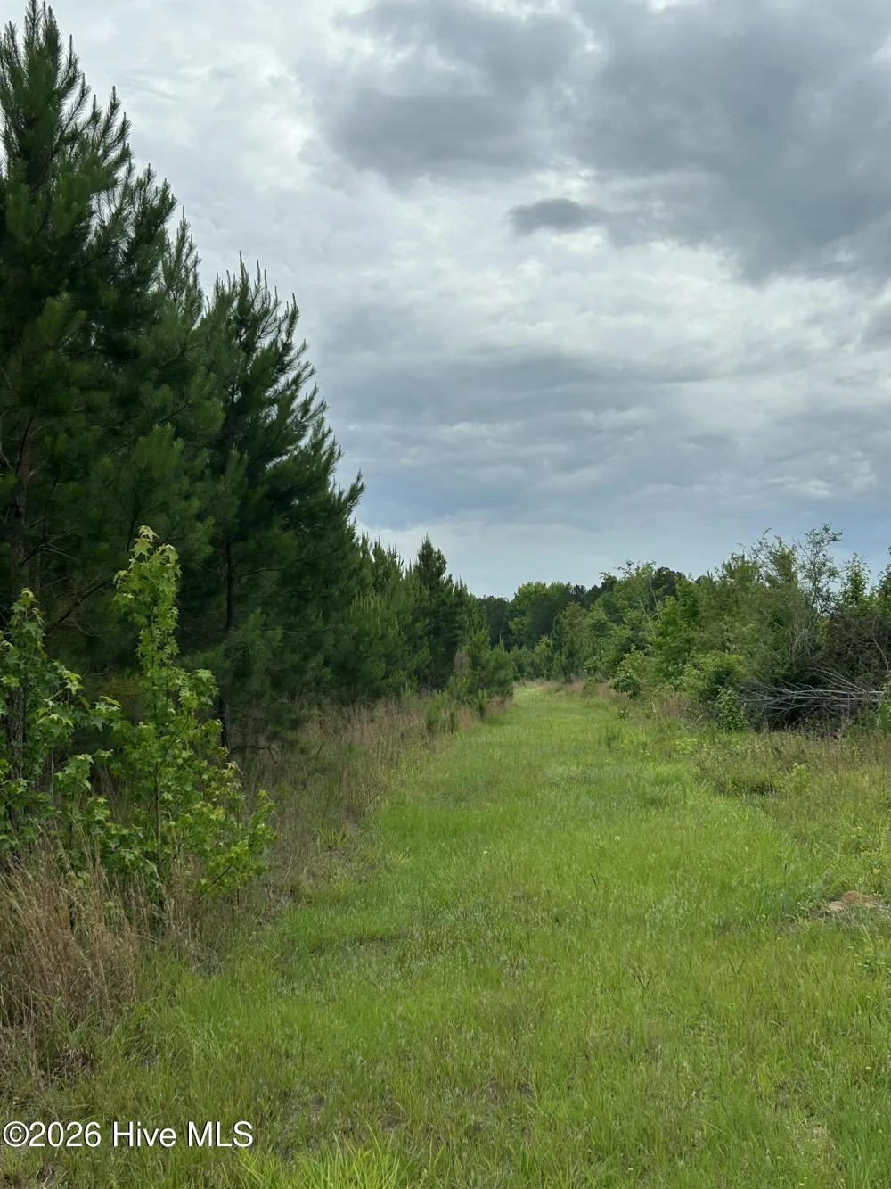0 Pughsley Road Stapleton, GA 30823