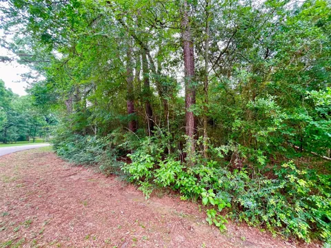 30803 Green Forest