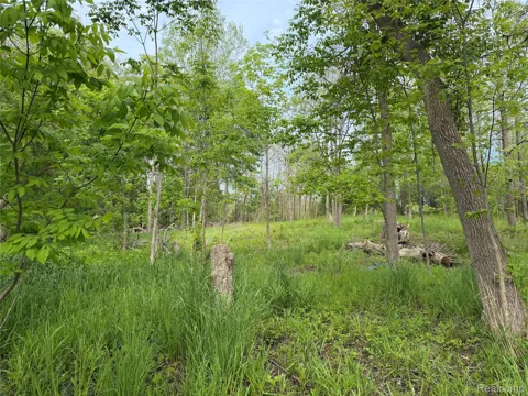 9200 Perry Road