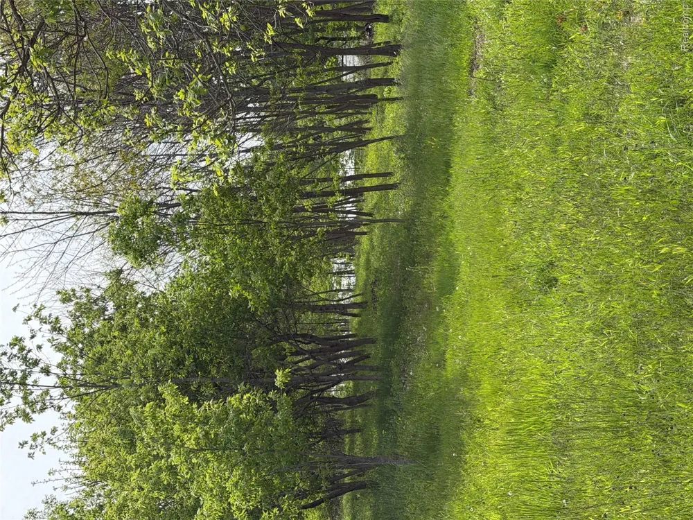 9200 Perry Road Atlas Township, MI 48411