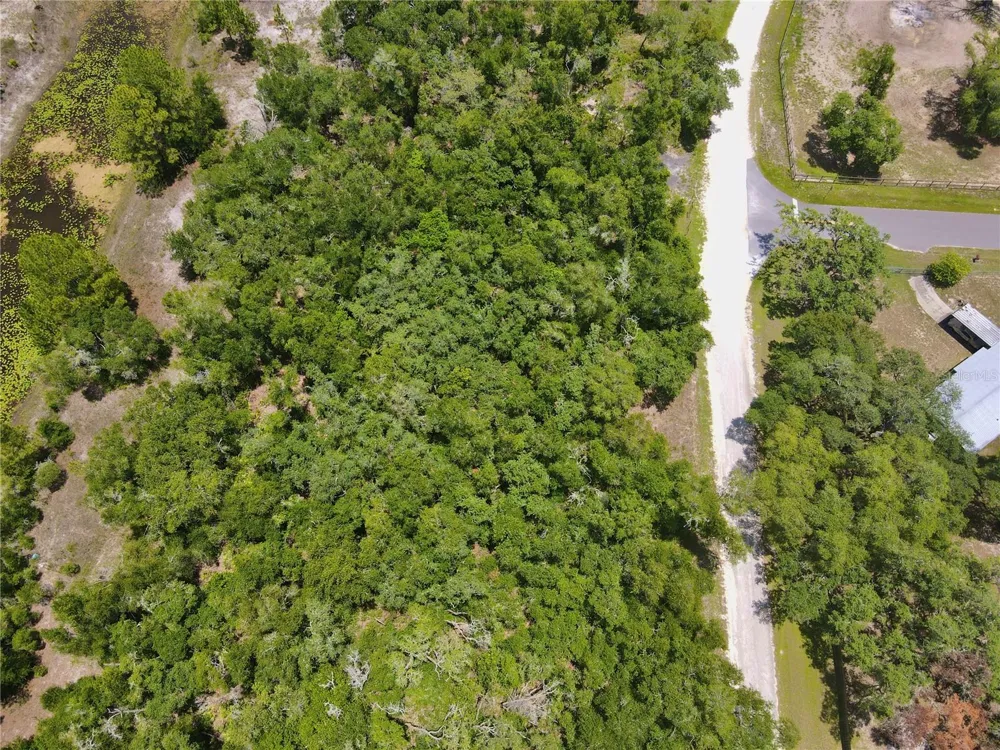 34237 SHAFFER DRIVE Dade City, FL 33523